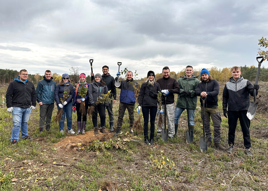 oakywood forest planting team