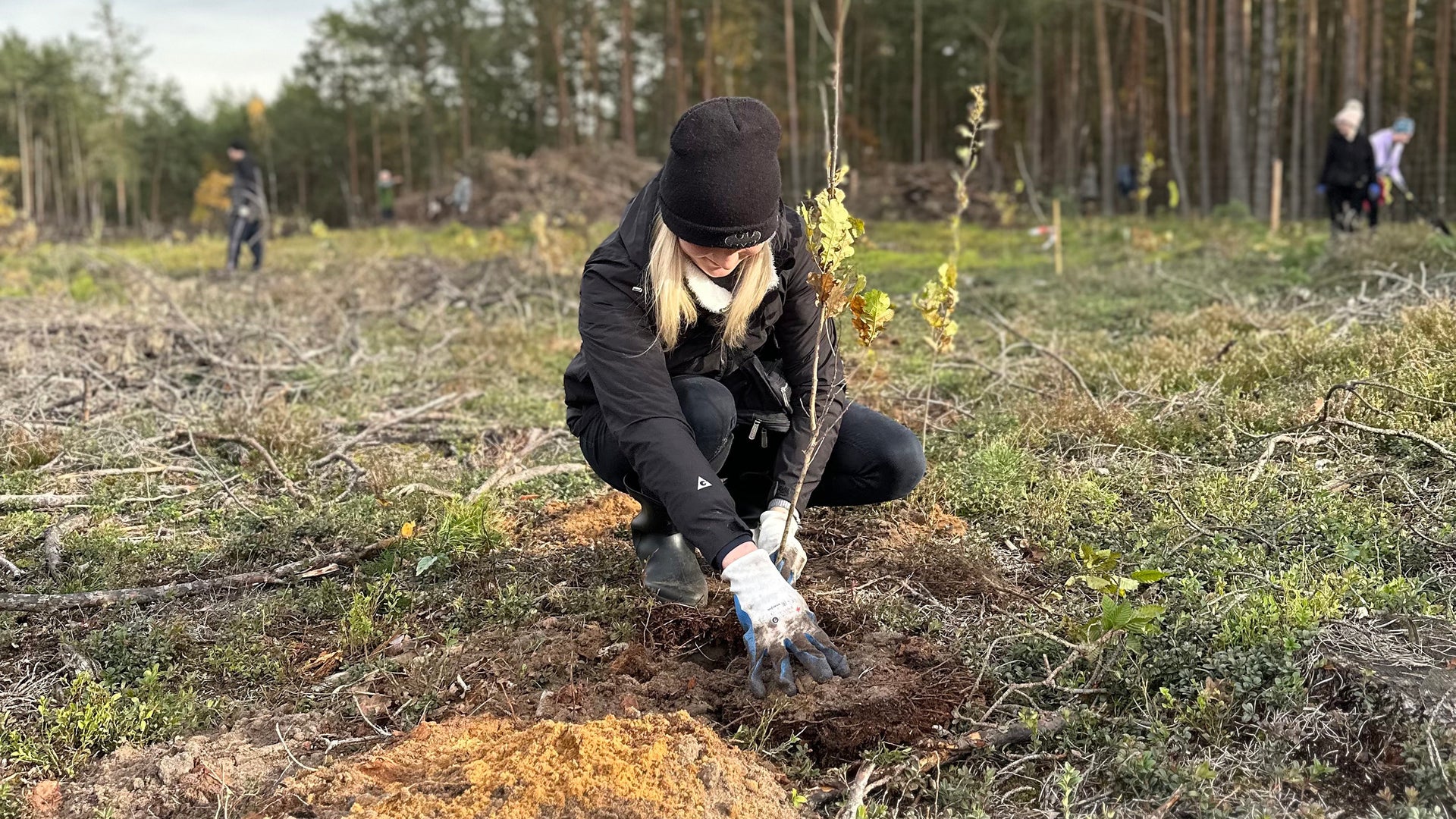 Why is it our duty to protect the forests?