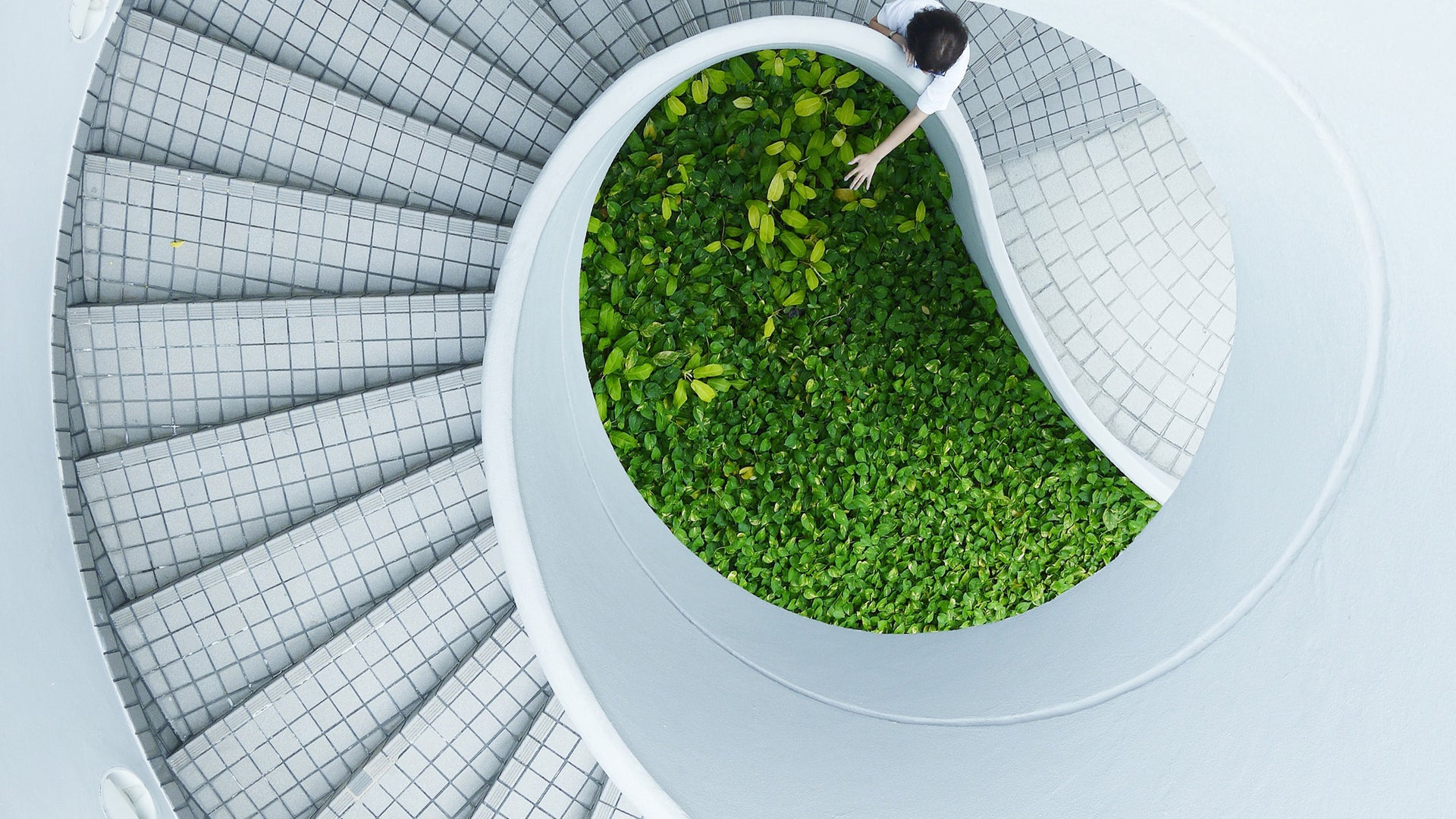 What are the Sustainable Development Goals?
