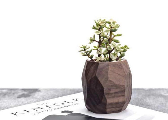 Reduce stress in the office - buy more plants! - Oakywood