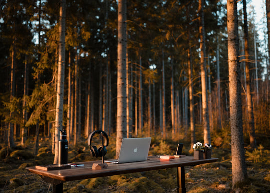 Back to nature: why turn your office into a relaxing oasis?