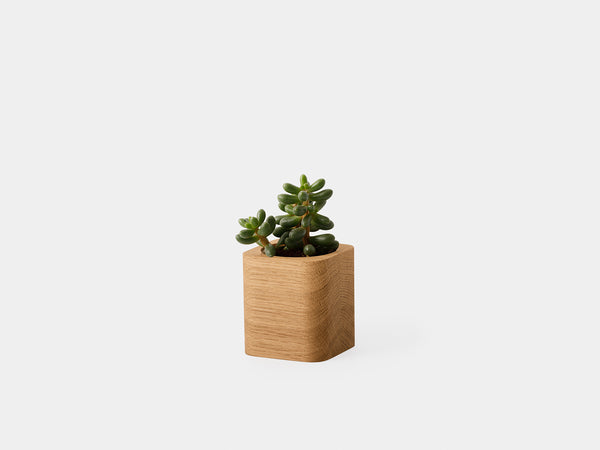 oakywood oak wooden cubic pot with plant | oak