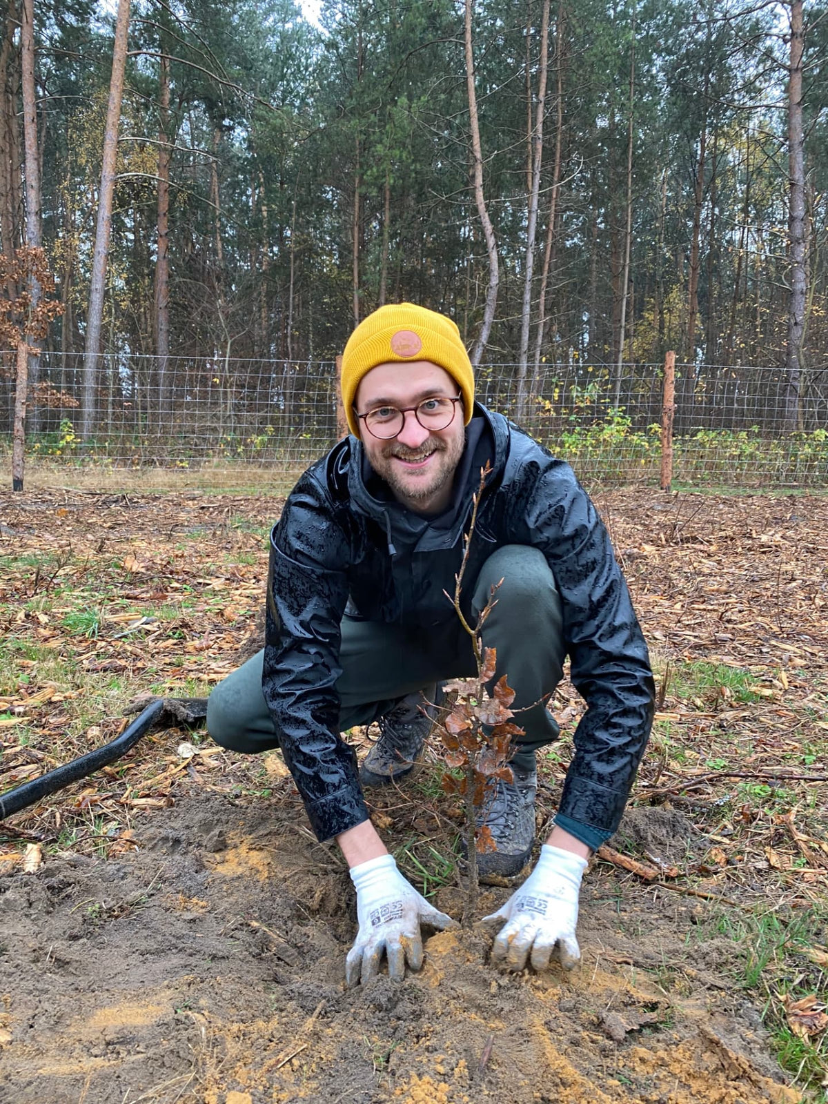 Team member planting a small oak sapling in the soil