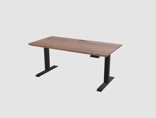 Standing Desk Touch (160x80)