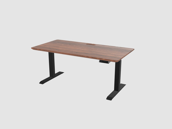 Standing Desk Touch (160x80)