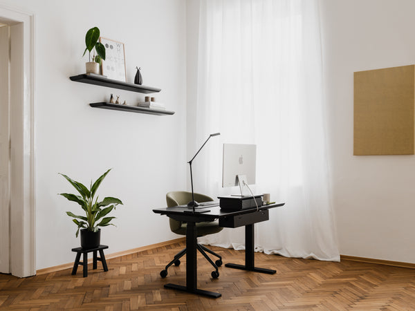 Modern home office with a desk, chair, and decor elements | black,