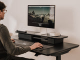 Person using a computer on a standing desk with a monitor displaying a snowy landscape.