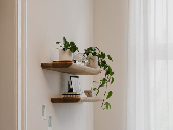 Minimalist shelf and room with white walls and plants
