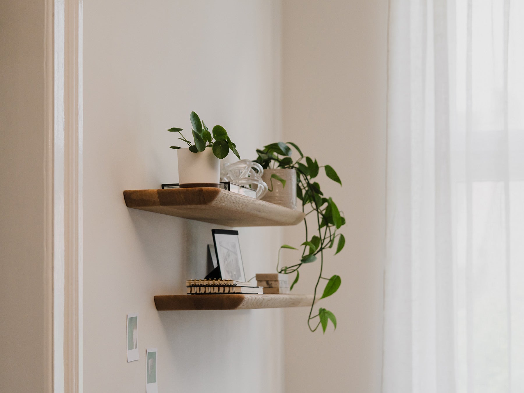 oakywood oak wooden shelves in the room |  , 