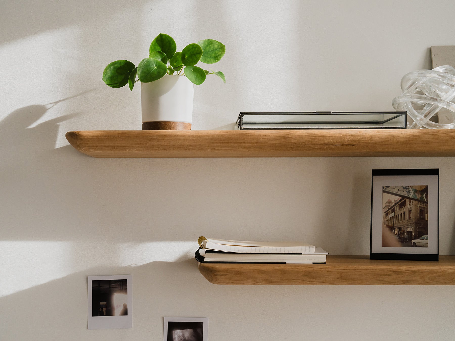 Unique oak wall shelf selling with tree edge and bracket / bookcase / wall shelf / living oak