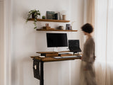 anthracite, walnut, black