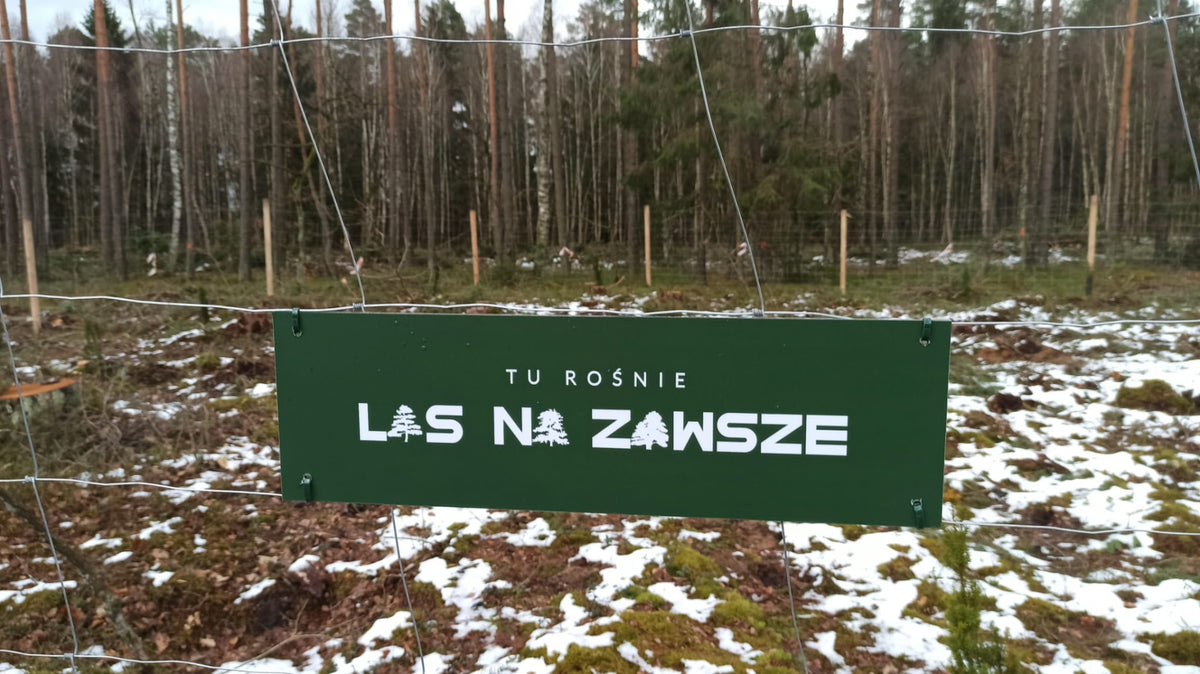 Las na zawsze sign marking a permanent forest planting site