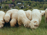 Sheep wool desk mat | , 