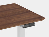 oakywood walnut veneer standing desk touch with white legs closeup | walnut veneer, , white