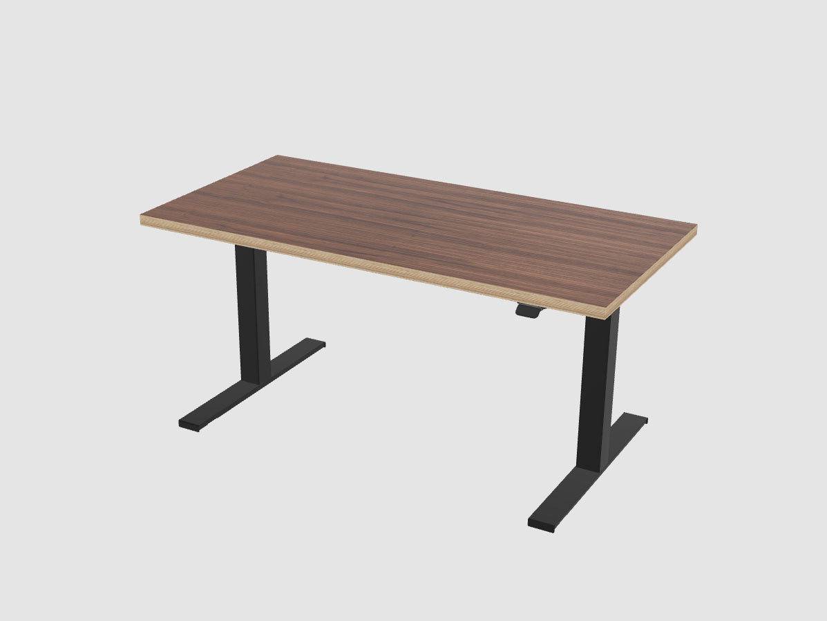 Standing Desk Pro