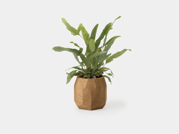 geometric indoor plant pots Geometric Pot