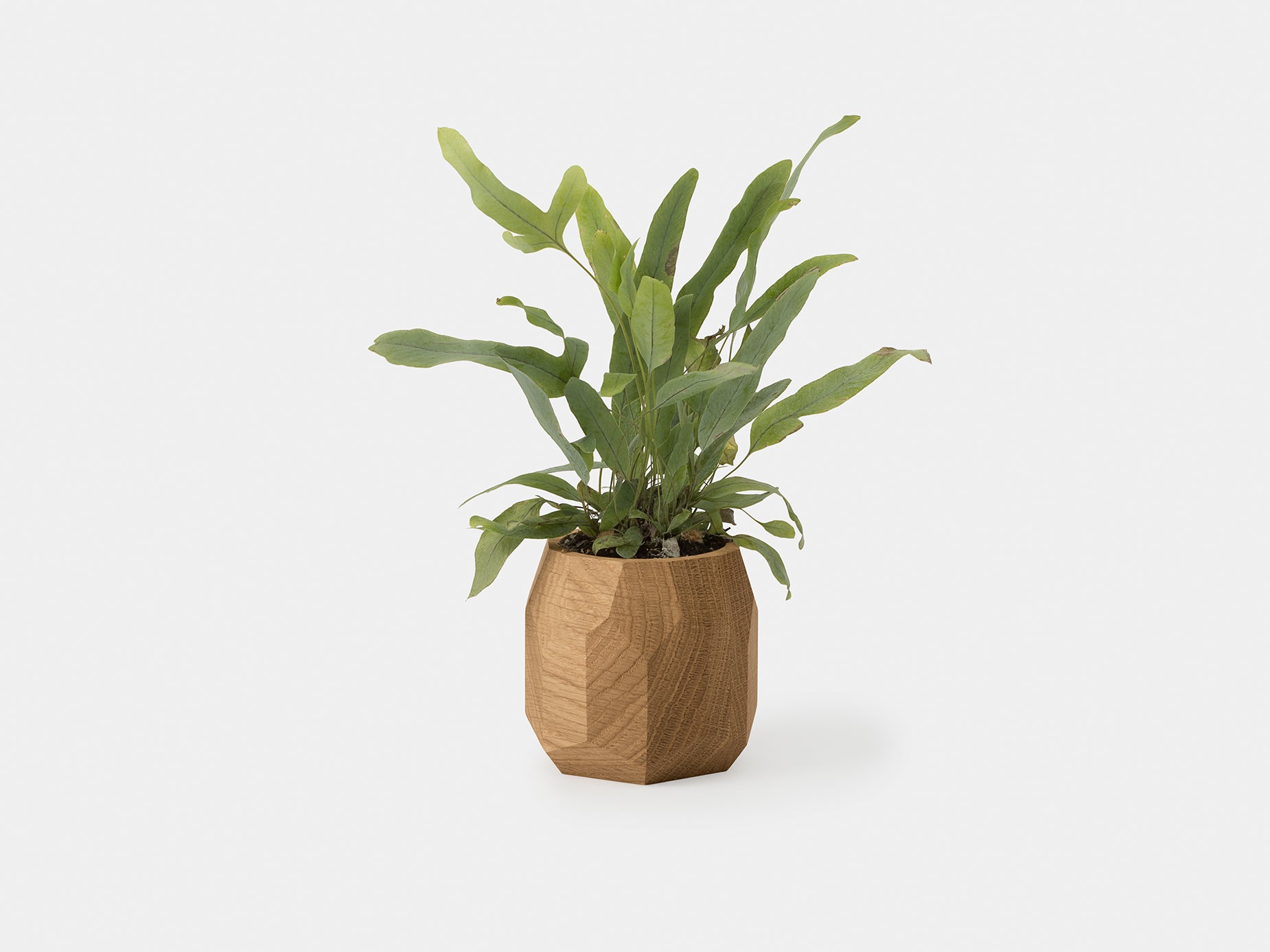 geometric plant pot Geometric Pot (Outlet) Walnut Oakywood