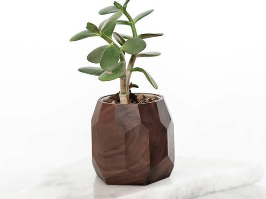 small wood plant pot Geometric Pot (Outlet) Walnut Oakywood