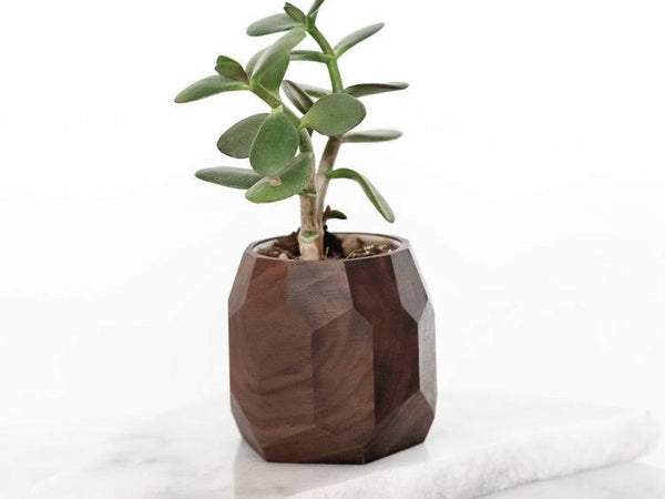 plant pot for desk Geometric Pot (Outlet) Walnut Oakywood