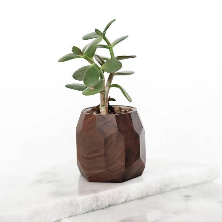 woodie's plant pots Geometric Pot (Outlet) Walnut Oakywood