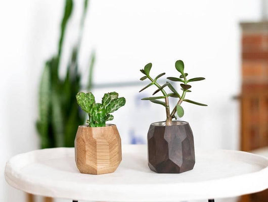 geometric planter |--variant--| Walnut